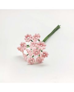 Margherita rosa bocciolo bianco, mazzo di 12pz.
