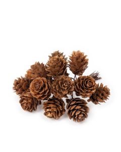 Ramillete de piñas naturales, precio x pomo de 12,  min 12